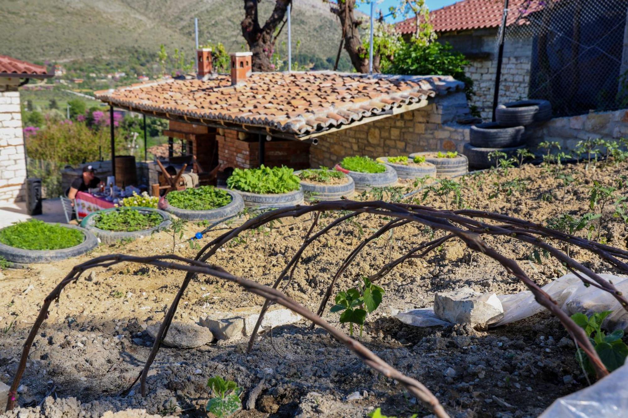 Villa Shpiragu Village Experience بيرات المظهر الخارجي الصورة